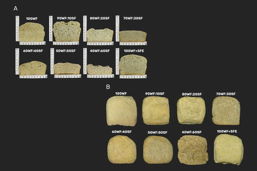 bread slices against black background